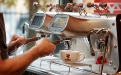Bezzera VICTORIA 2GR W Specialty Espresso Machine (2 Group, Multi-Boiler, 220V)