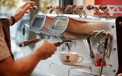 Commercial Coffee Machine-Bezzera VICTORIA 2GR W Specialty Espresso Machine (2 Group, Multi-Boiler, 220V)
