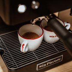 la Pavoni Casa Bar Black Manual Espresso Machine - 220-240V (LPMCBN01US)