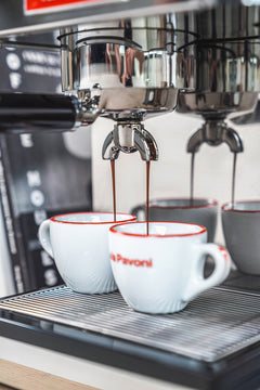 la Pavoni Casabar Termo PID Silver Espresso Machine - LPMCBS02US